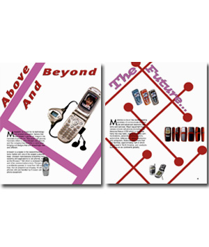 ID Magazine Article Layout Concepts